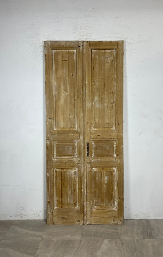 Antique French panel Doors (93.75 x 39.75) N107