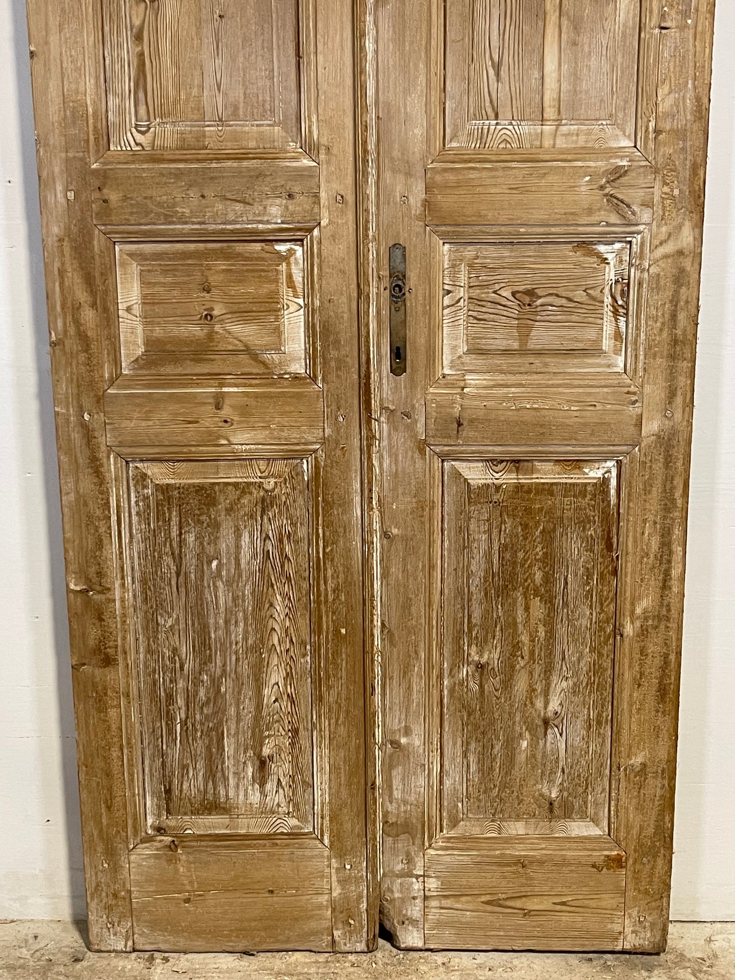 Antique French panel Doors (100x39) L293