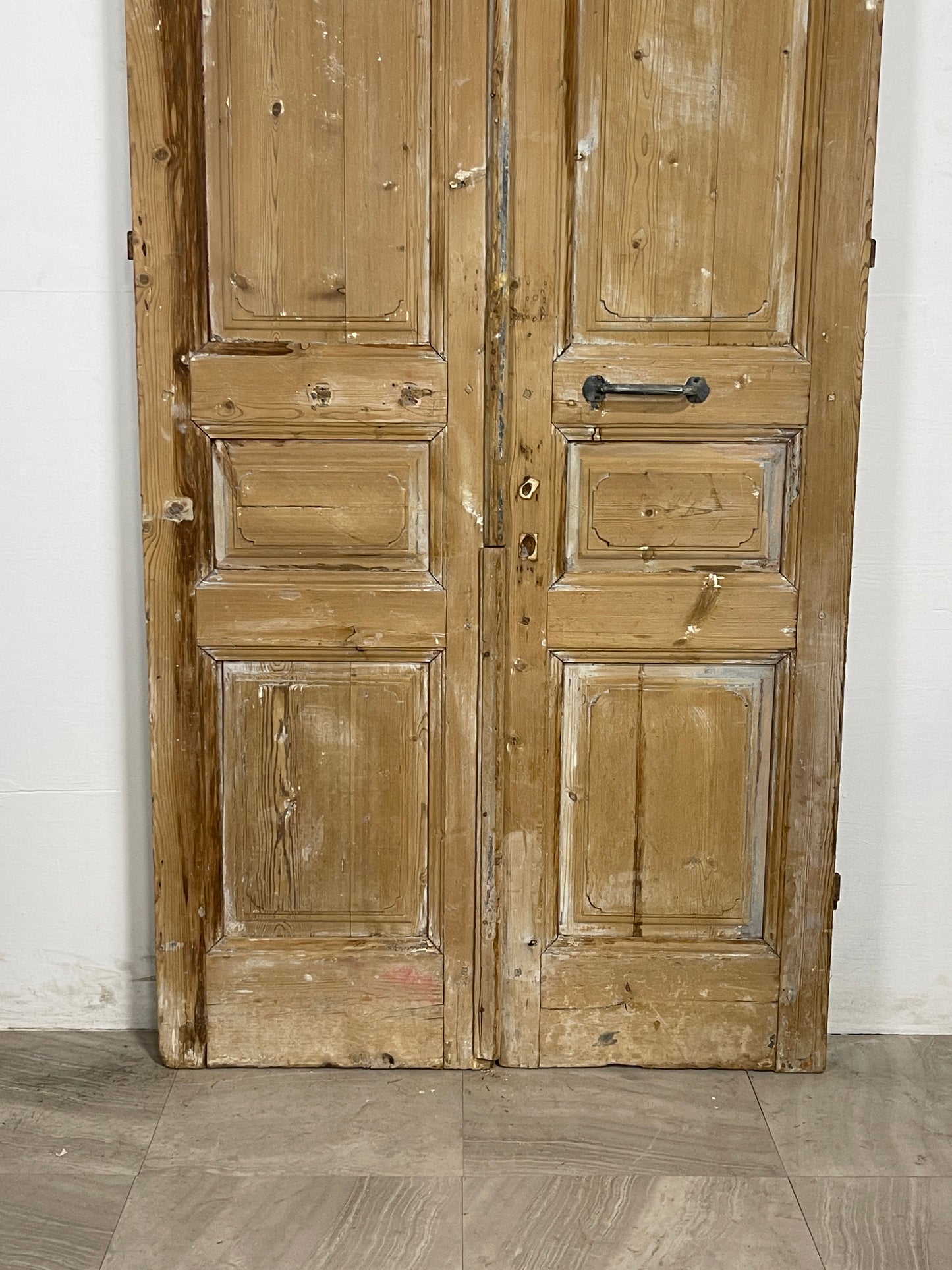 Antique French panel Doors (97.75 x 42.25)   N075