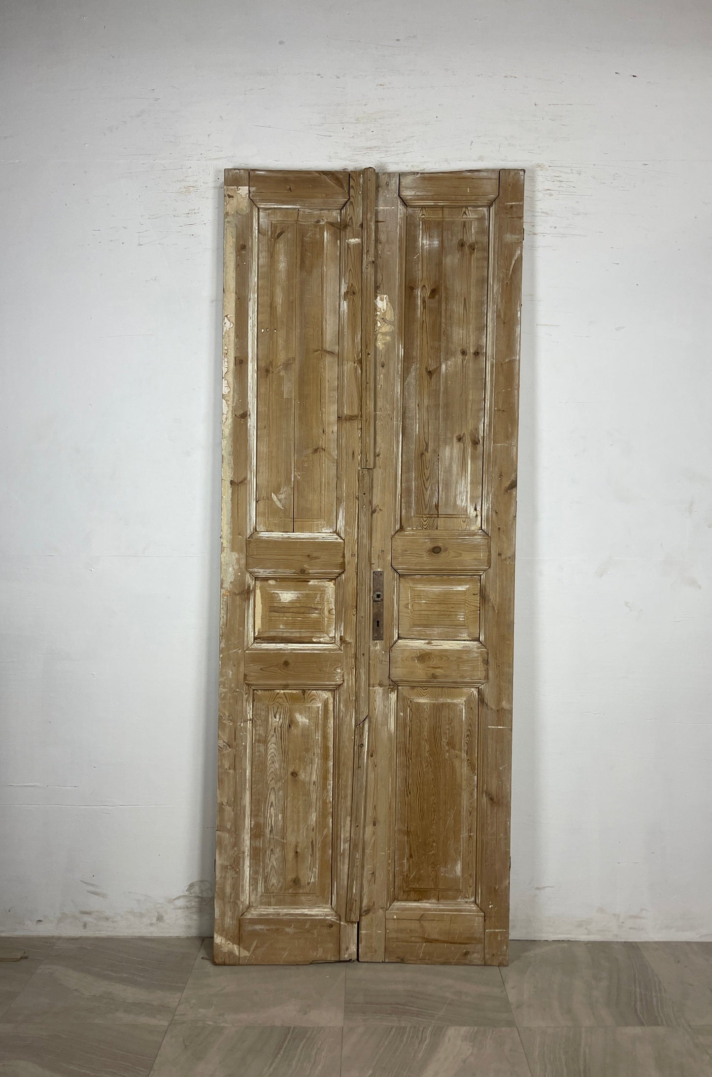 Antique French panel Doors (94.5 x 35.25) N127