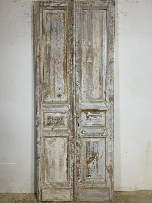 Antique French panel Doors (94.25x37.75) K640