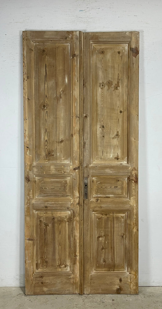 Antique French panel Doors (97.75 x 42.75) M158