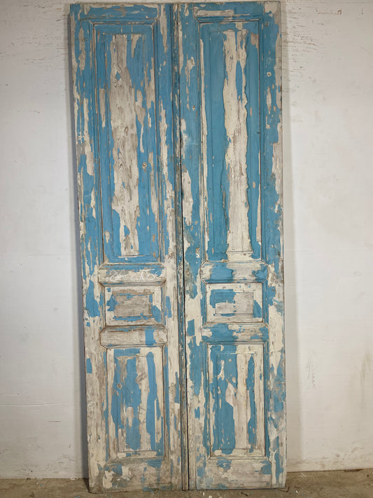 Antique French panel Doors (95.5 x 39.75) K647