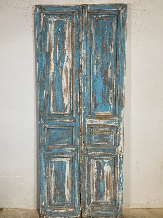 Antique French panel Doors (88.5x36) K631