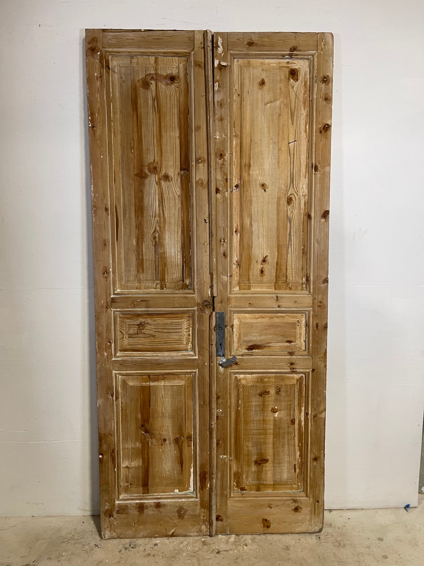 Antique French panel Doors (94.25x43.75) L269