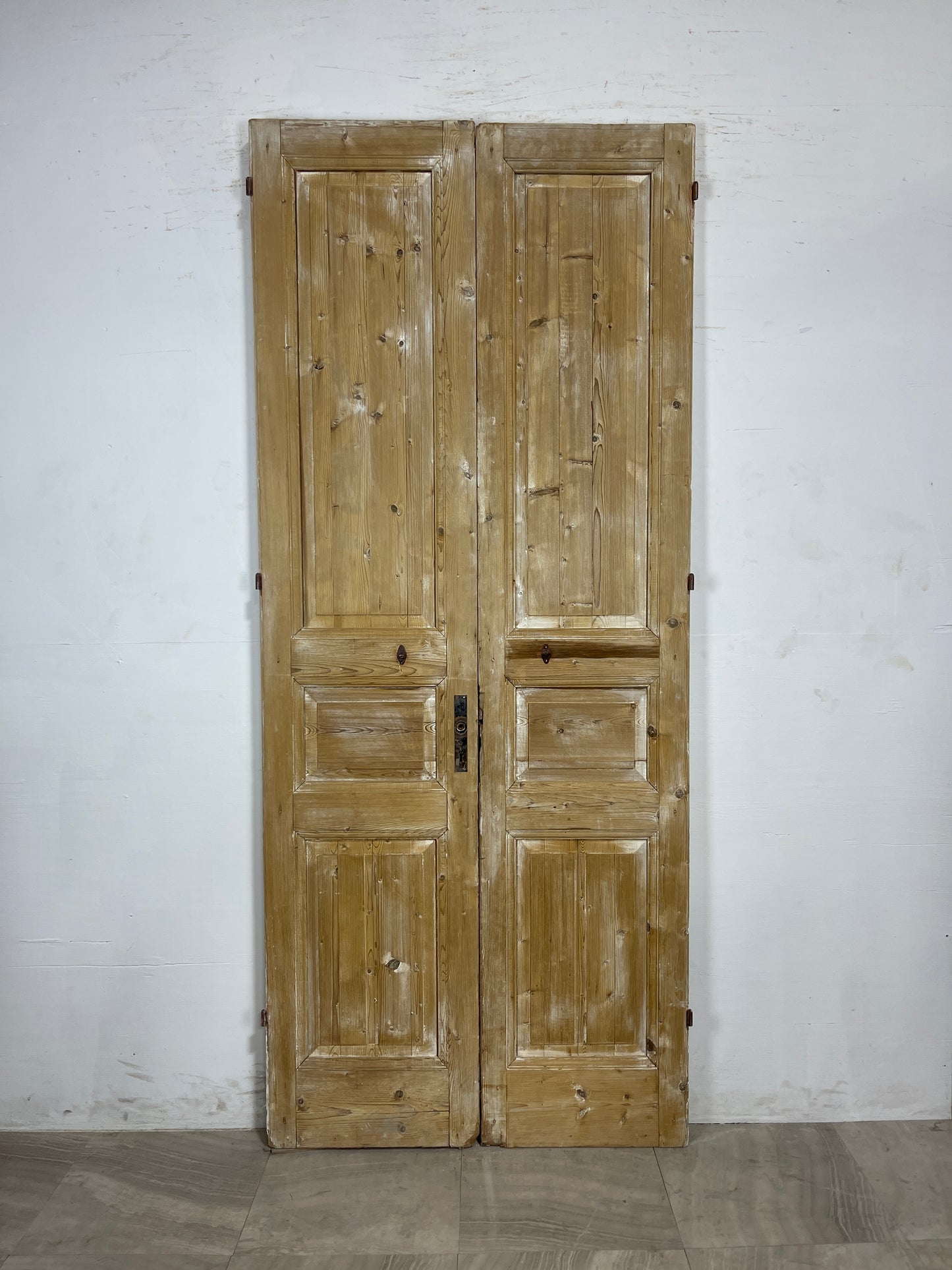 Antique French panel Doors  (93.75 x 39.5)   N085