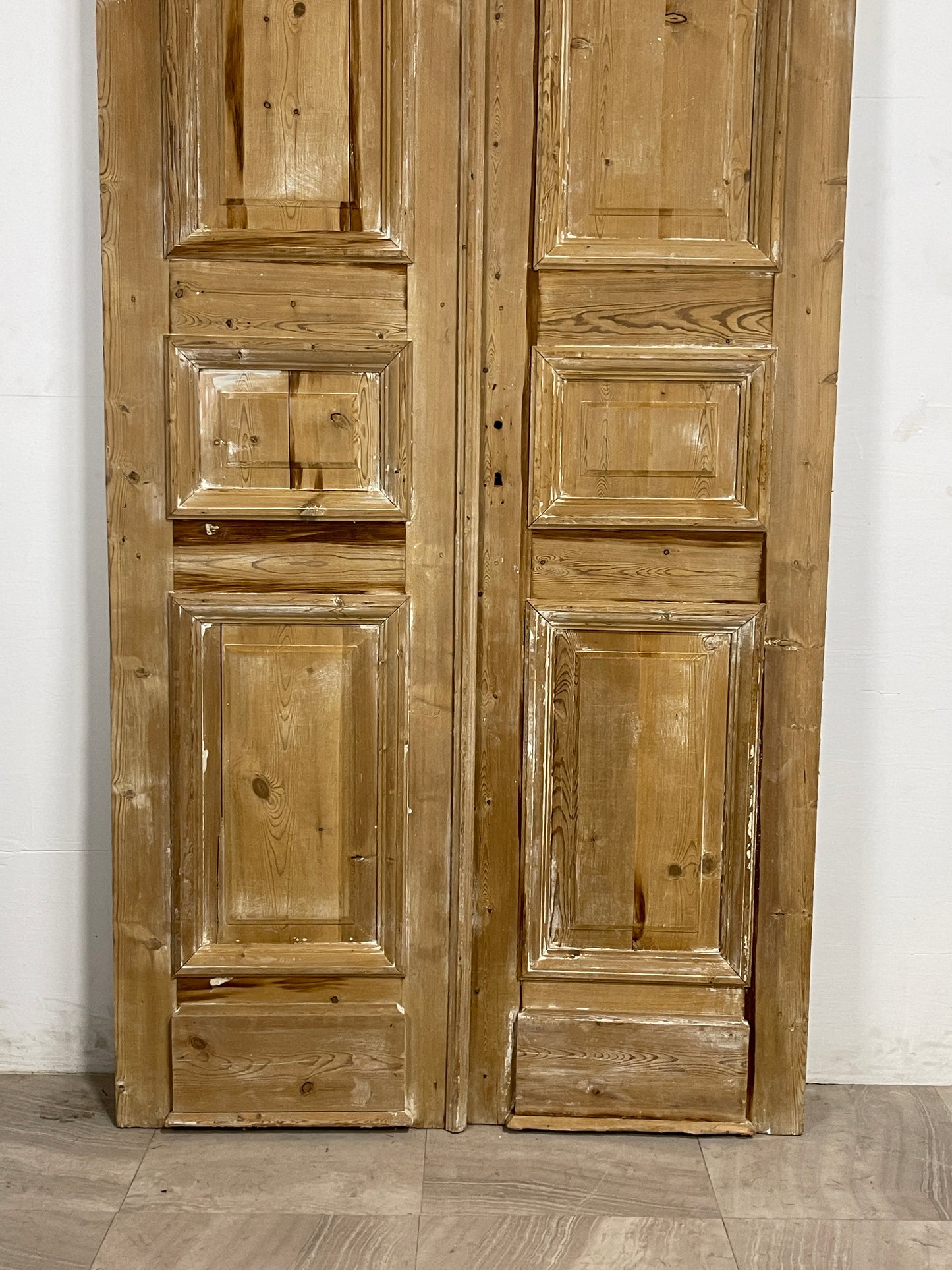 Antique French panel Doors  (94.75 x 46.25)   N141