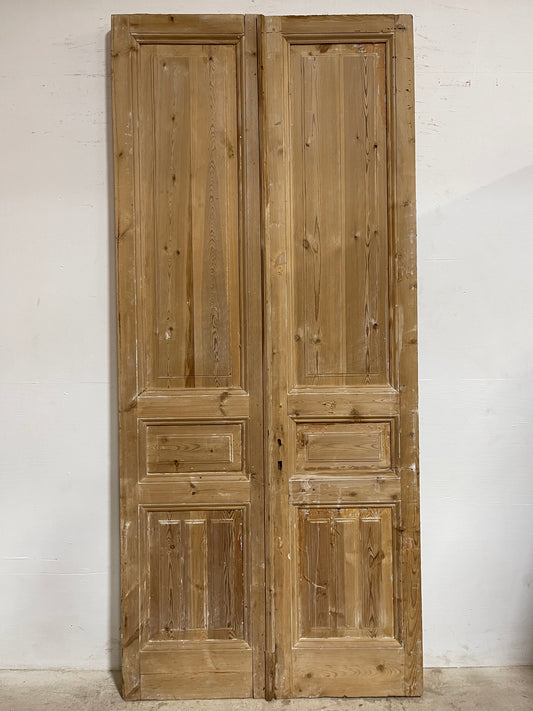 Antique French panel Doors (103.25x45.5) J644