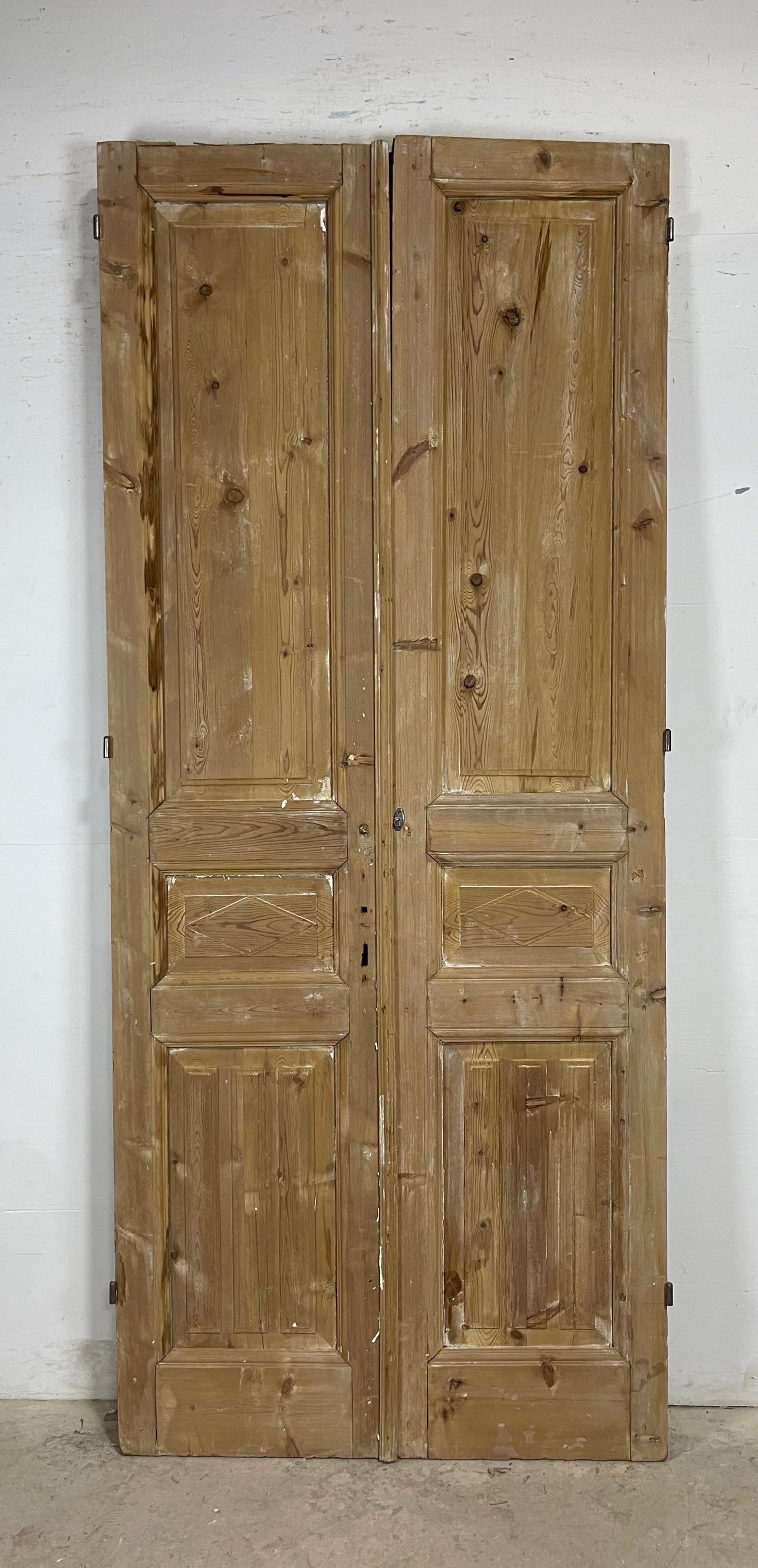 Antique French panel Doors (102 x 43.5) M164