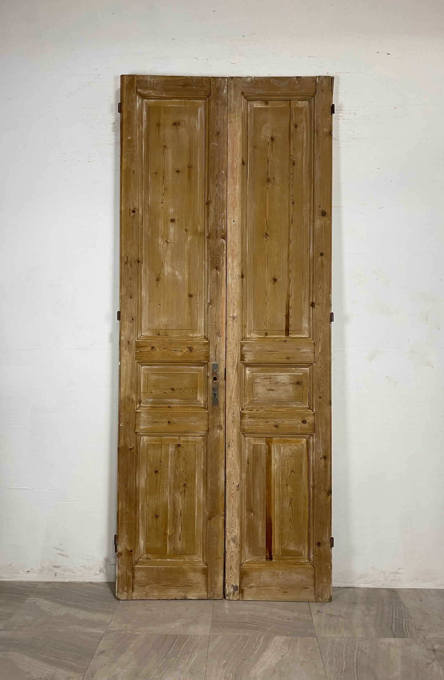 Antique French panel Doors  (101.5 x 41)  N086