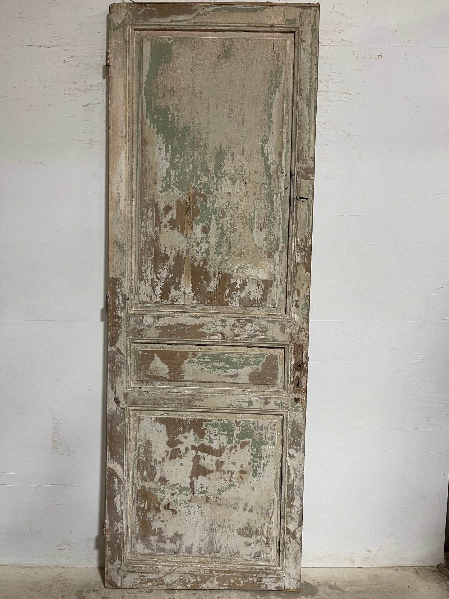 Antique French panel door (102.5x35.25) K800