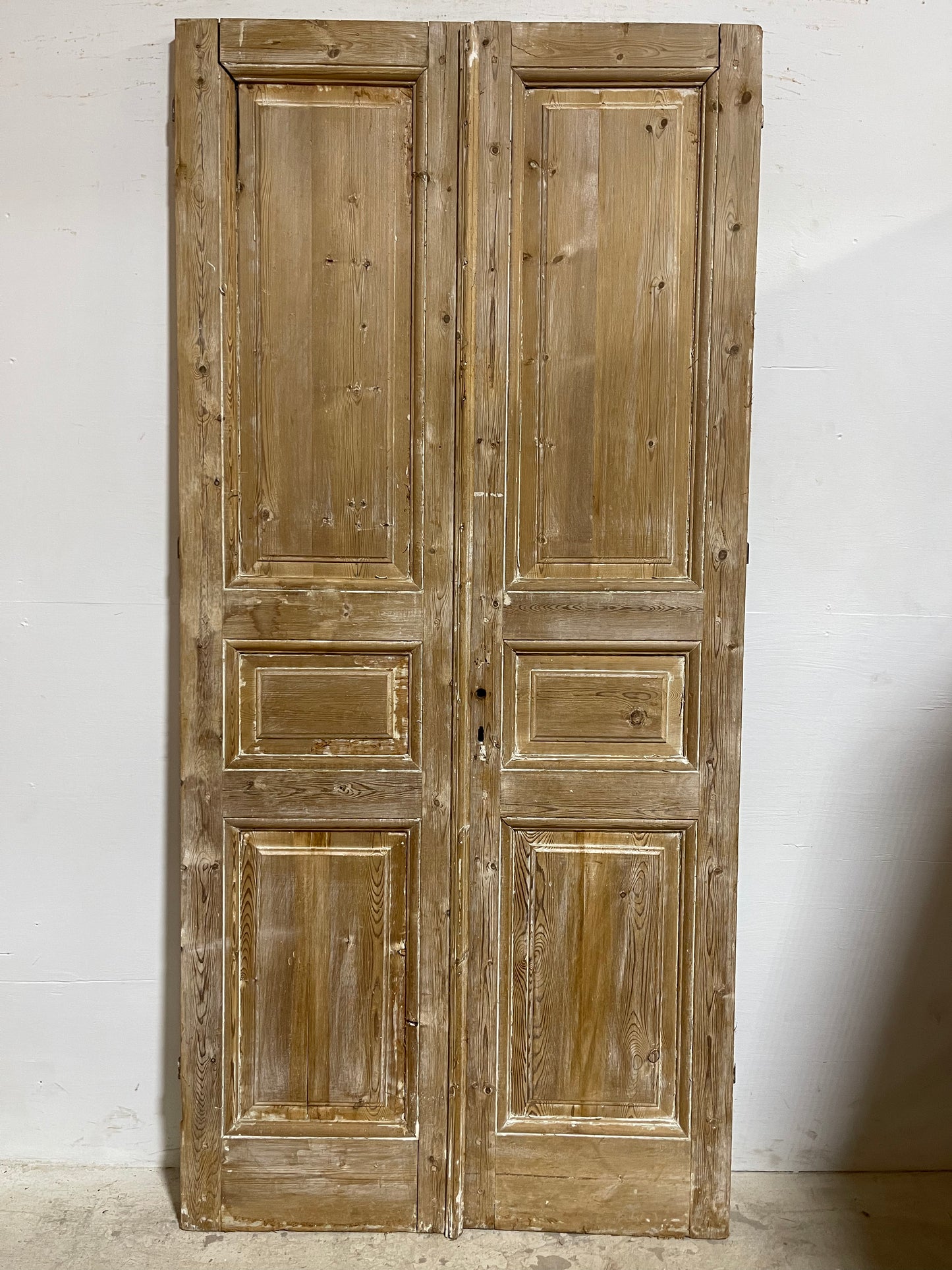 Antique French panel Doors (90.75x41.75) J627