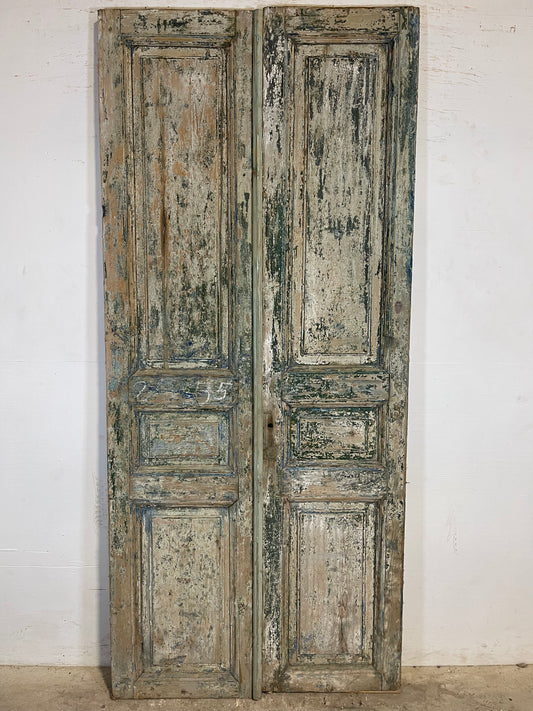 Antique French panel Doors (95.25x42.5) K606