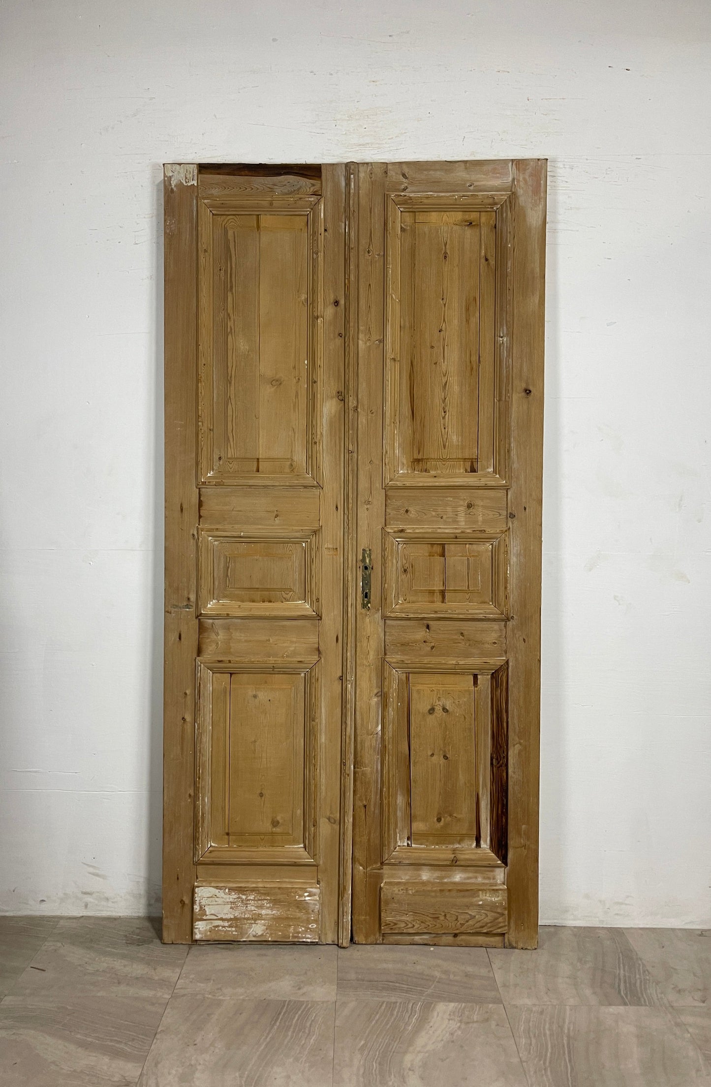 Antique French panel Doors (95 x 46.5)   N137