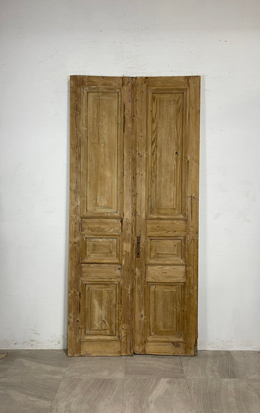 Antique French panel Doors (93.75 x 44)    N080