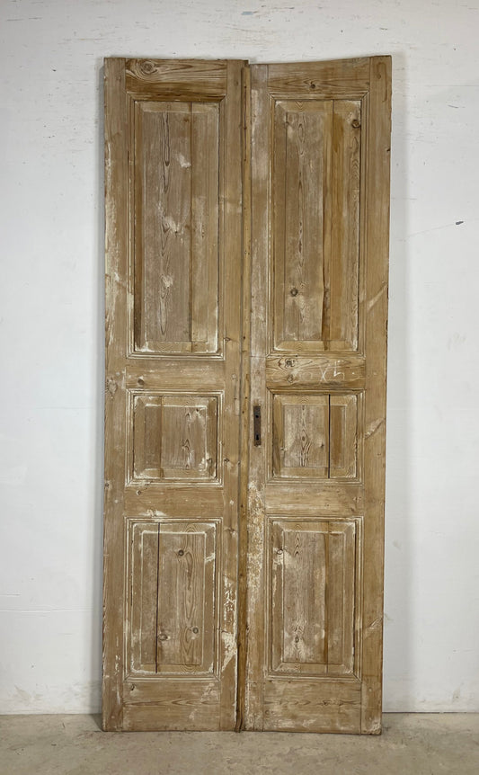 Antique French panel Doors (98.5x41.5) M154