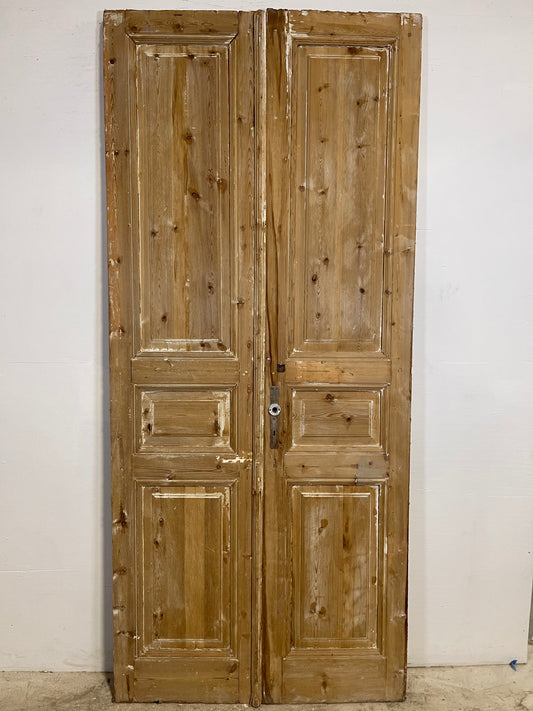 Antique French panel Doors (95x41.75) L280