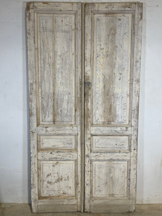 Antique French panel Doors (94.25x49.25) K370