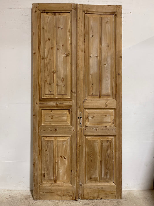 Antique French panel Doors (97x44.5) J636