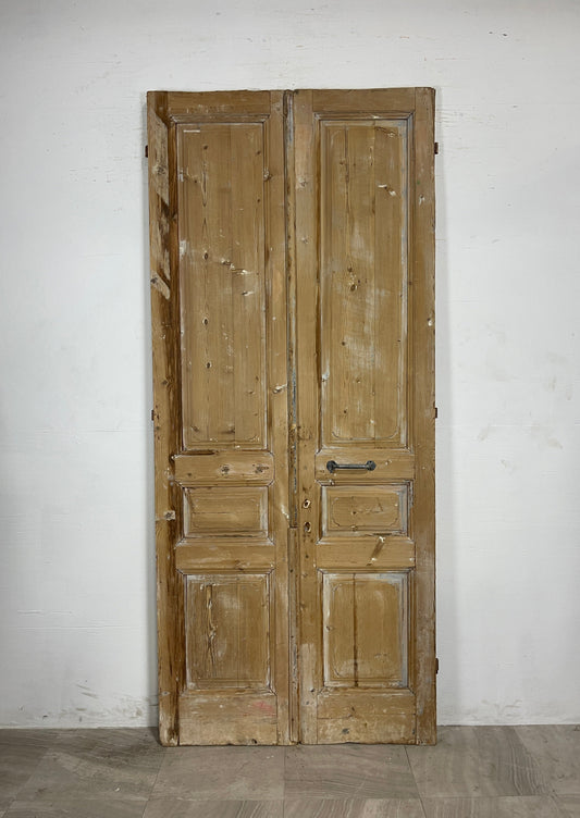 Antique French panel Doors (97.75 x 42.25)   N075