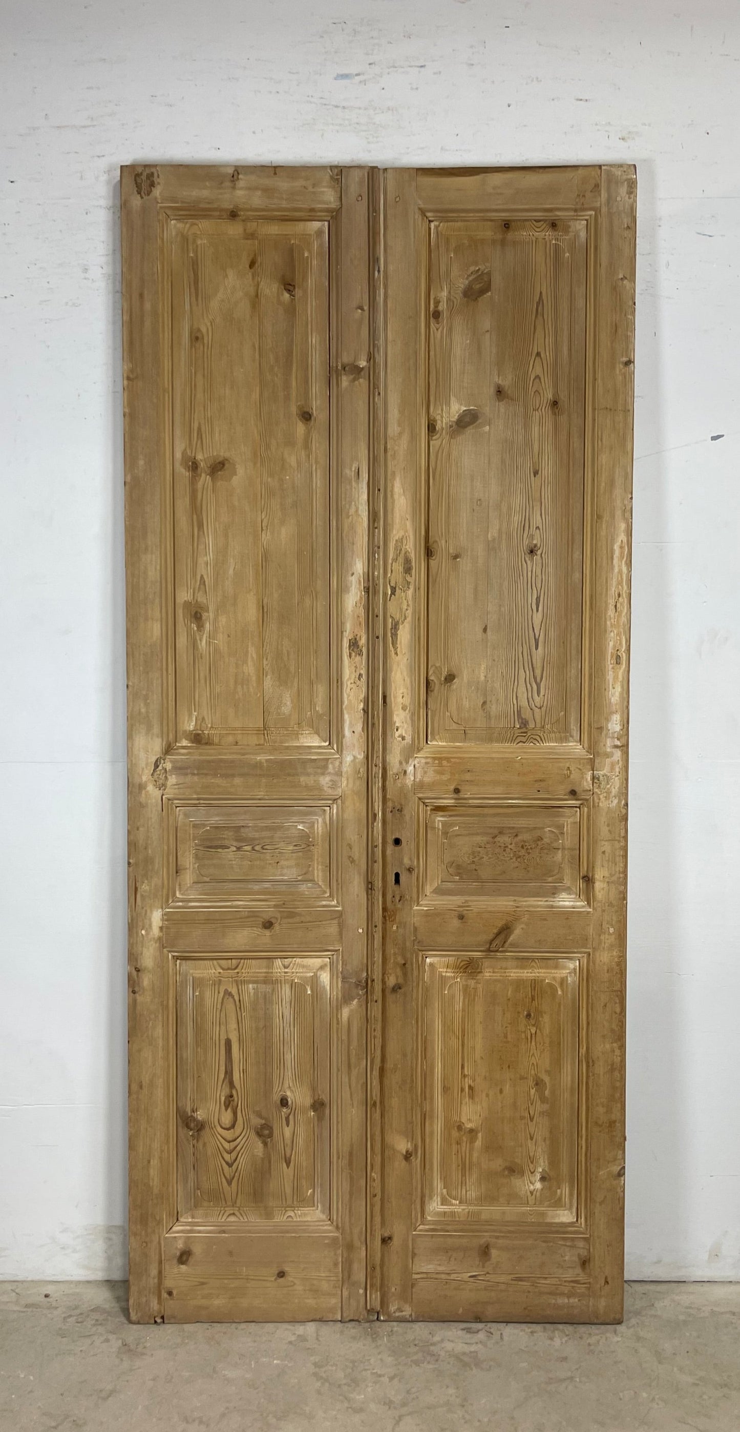 Antique French panel Doors (98 x 43) M171