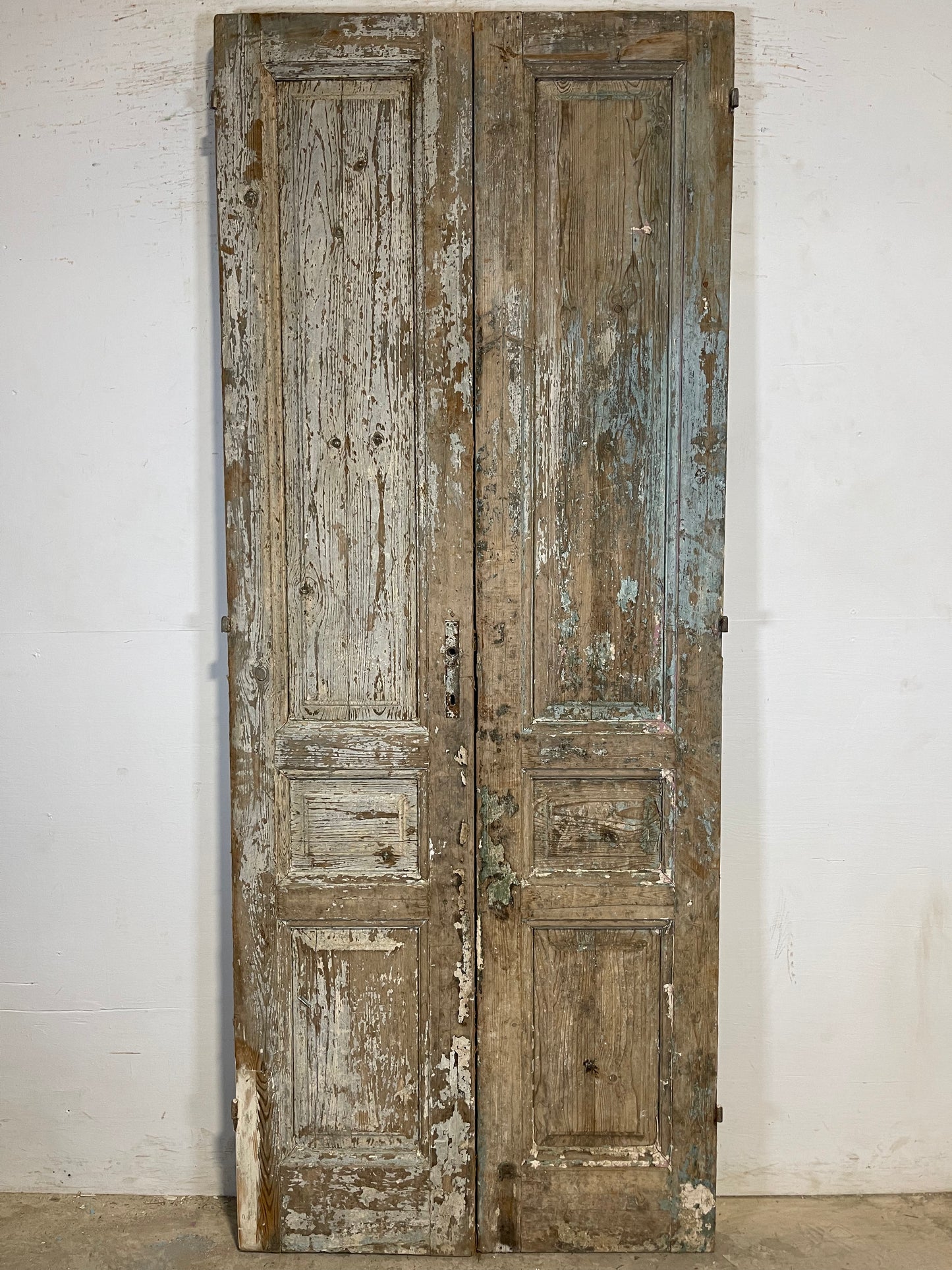 Antique French panel Doors (91.5x36.75) K655