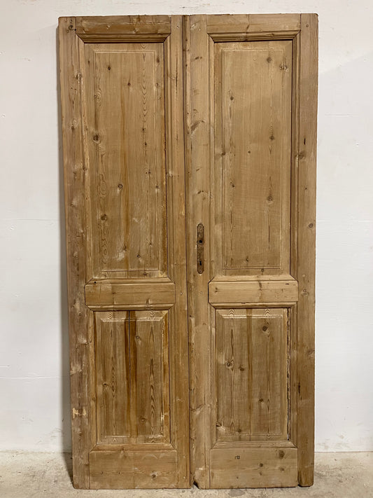 Antique French panel Doors (83.25x44) J633