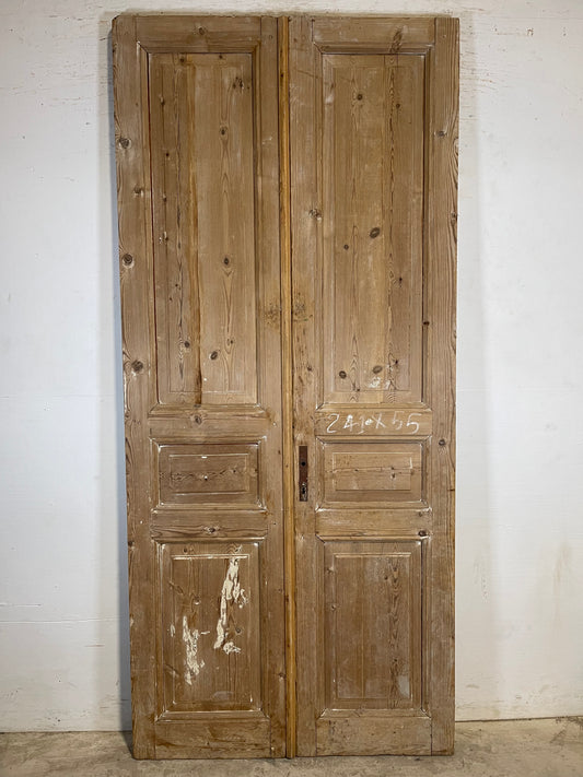 Antique French panel Doors (95x43) K719