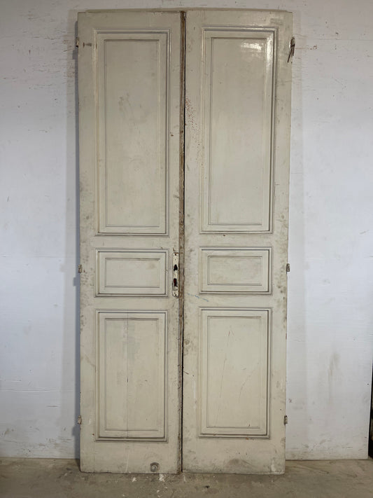 Antique French panel Doors (100.25x45.75) L117