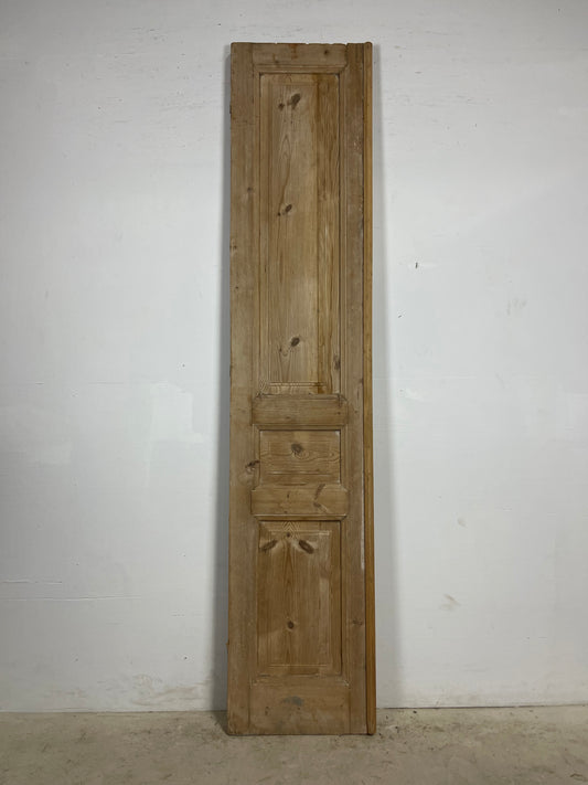 Antique French Panel Door   (96.25x20.25) L384