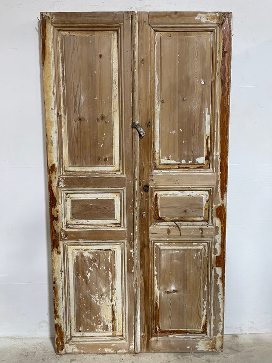 Antique French panel Doors (83.5x43.5) J641