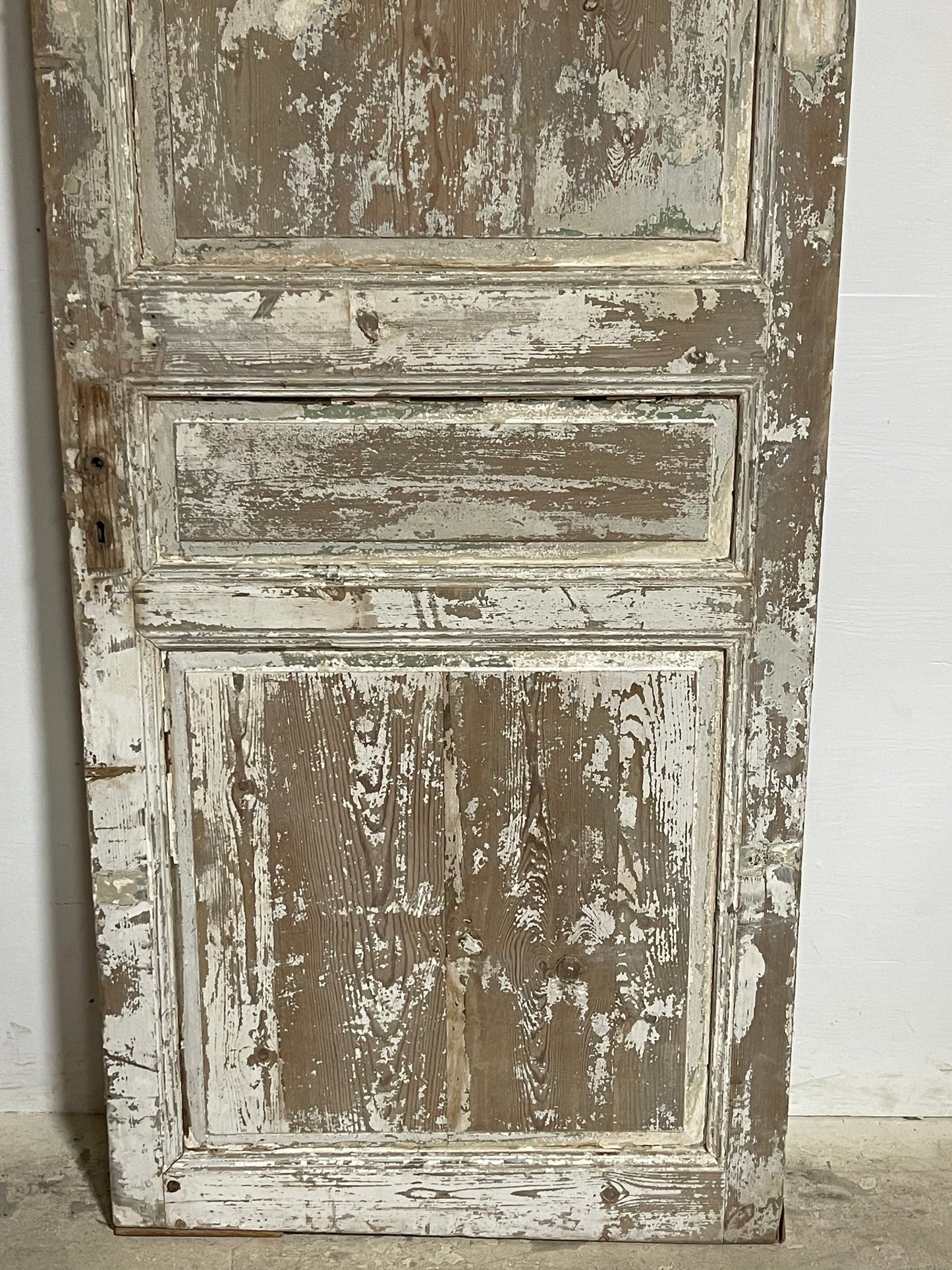 Antique French panel door (102.5x35.25) K800