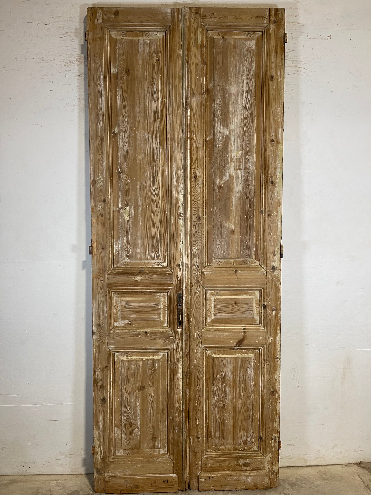 Antique French panel Doors (98.5x38.75) K733