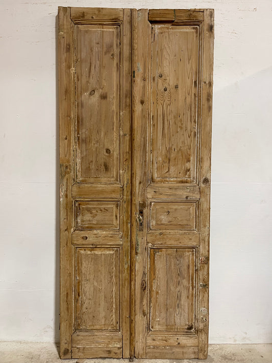 Antique French panel Doors (93x40.25) J631