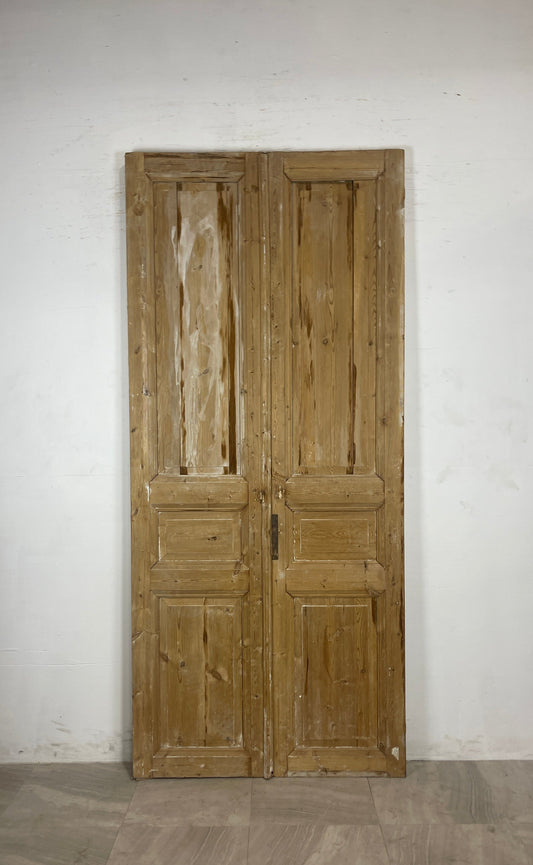 Antique French panel Doors (97.5 x 43) N109