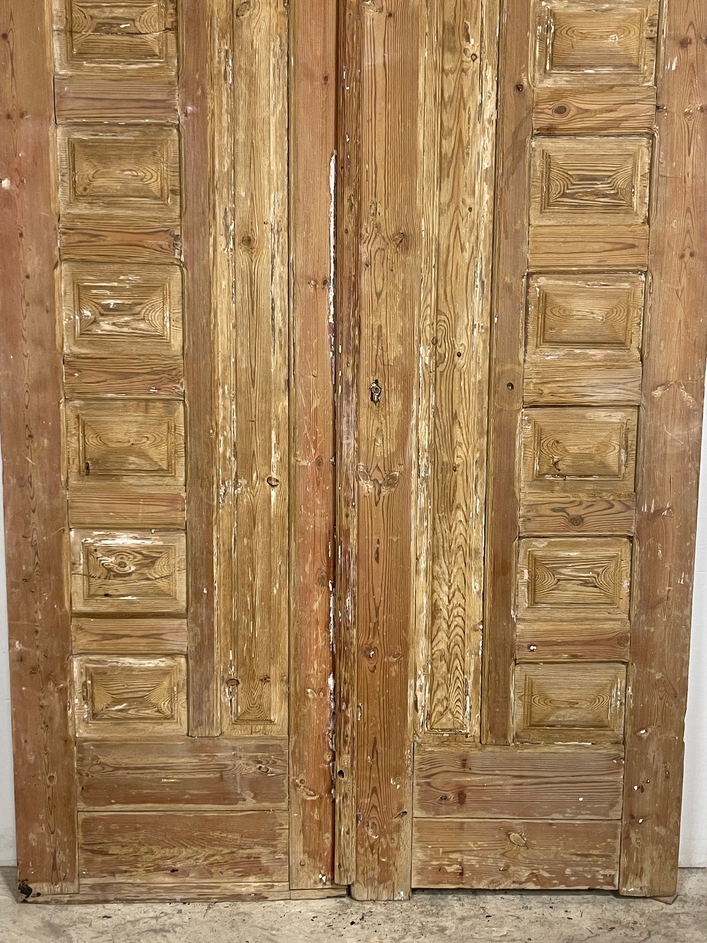 Antique  French Panel Doors with Carving  (113x59) M005