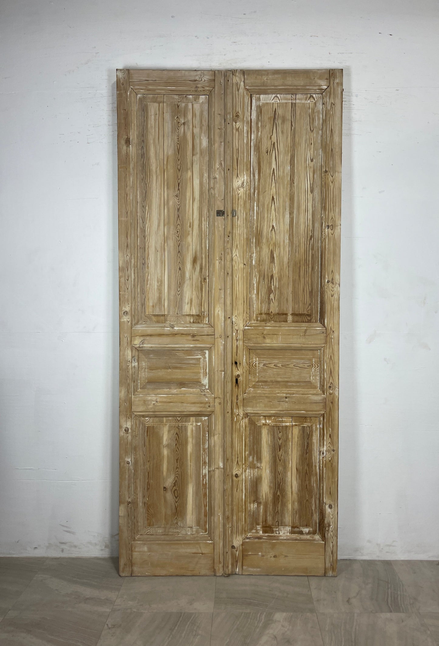 Antique French panel Doors (98.5 x 43.25) N126