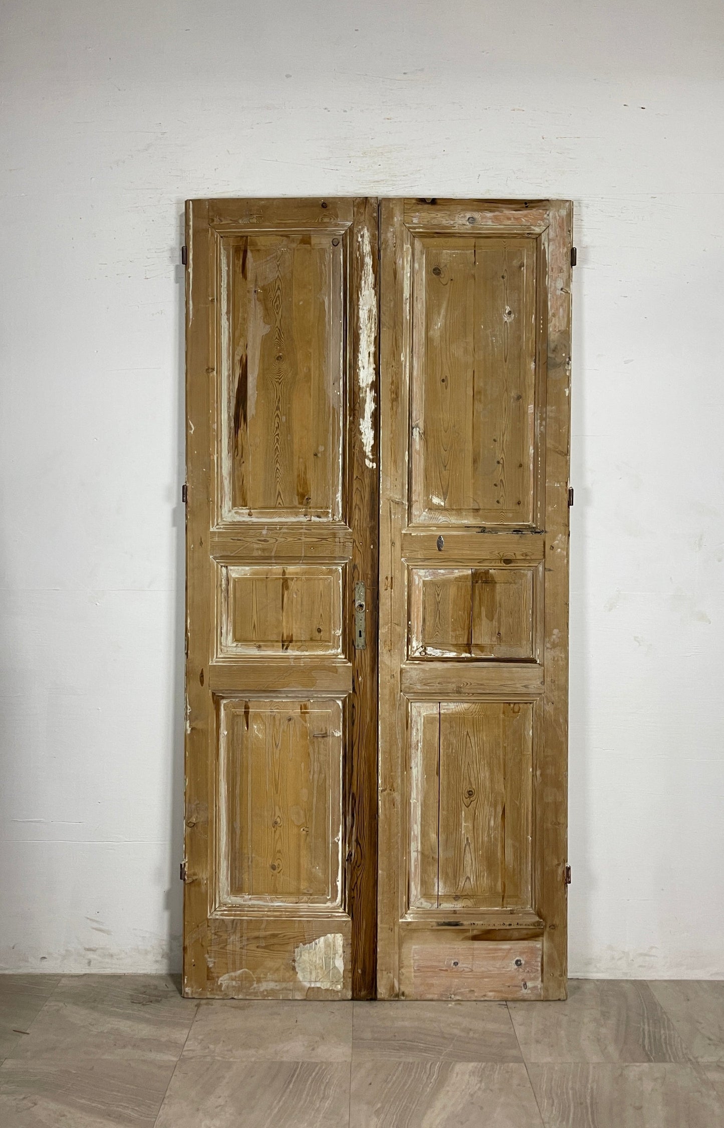 Antique French panel Doors  (94.75 x 46)  N140