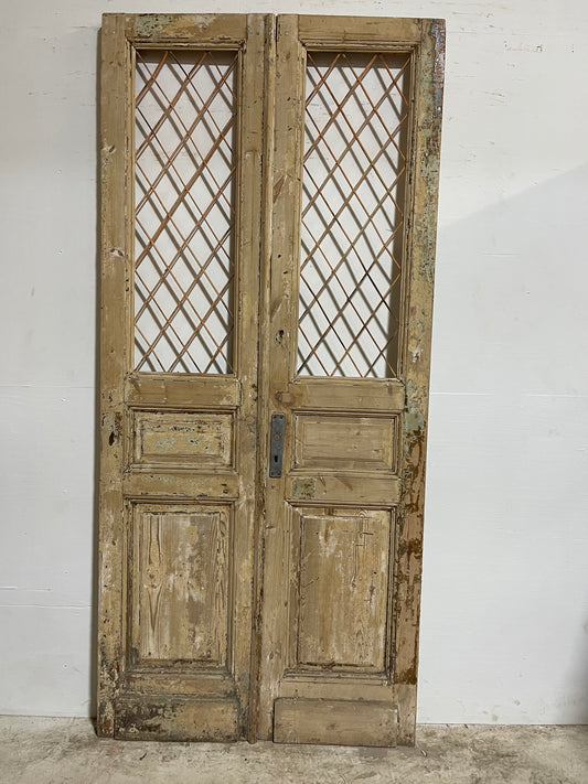 Antique French Panel Door with Metal (96x44) J119