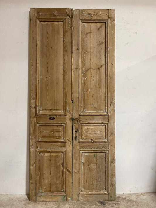 Antique French Panel Doors (106.25x47.55) J013