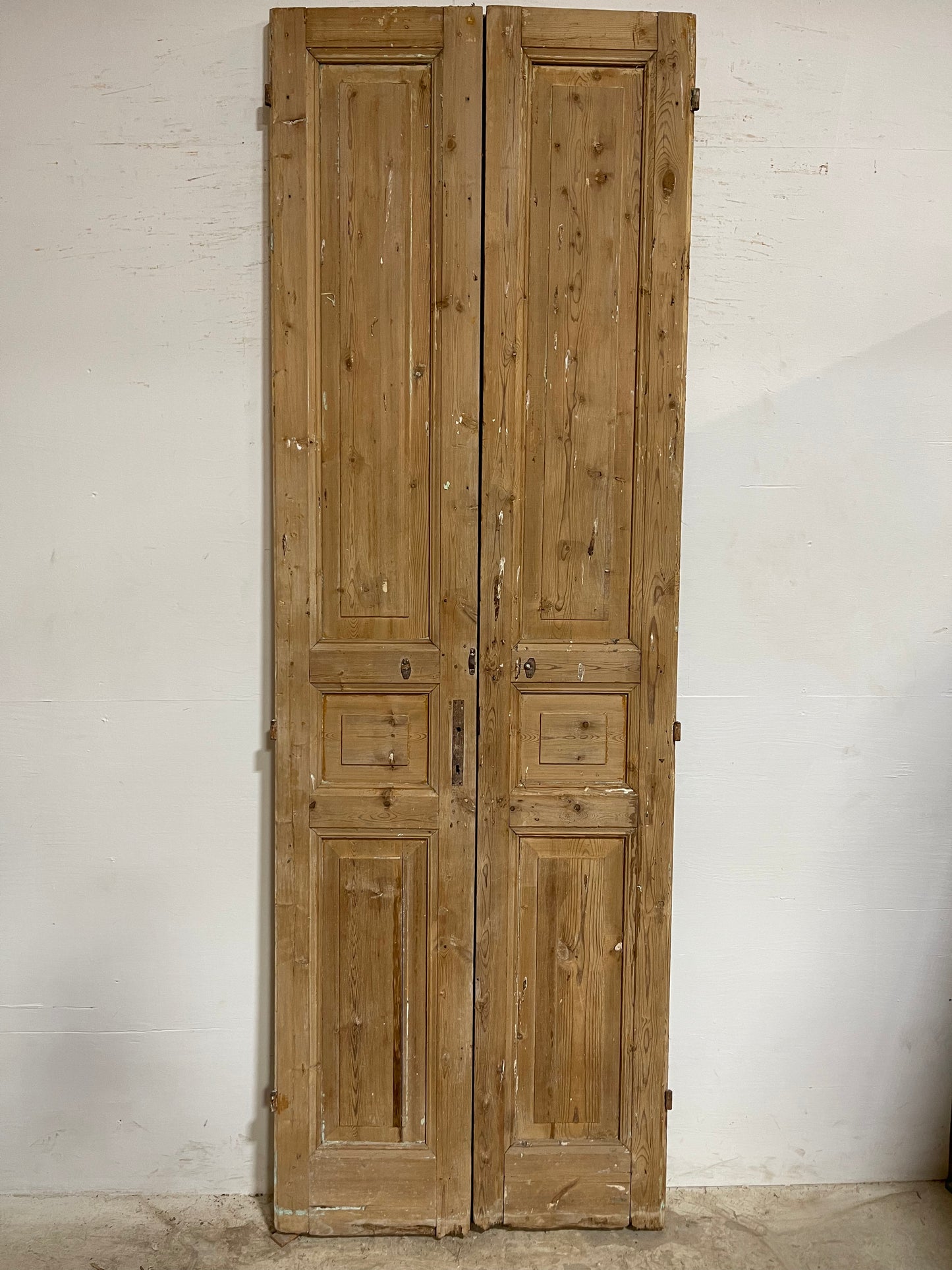 Antique French Panel Doors (106x35.25) J664