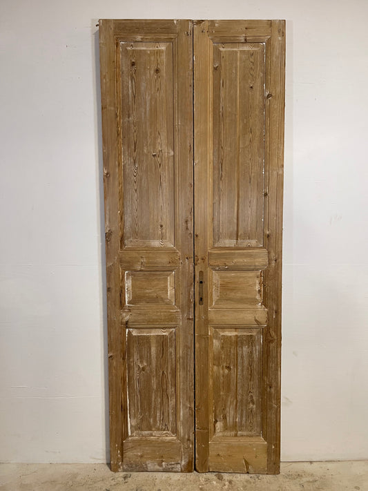 Antique French panel Doors (100.5x39.5) L270