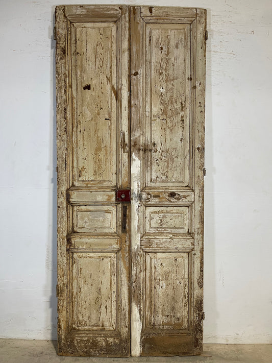 Antique French panel Doors (98.75x42.5) K613