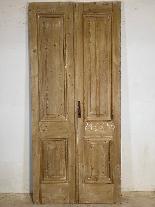 Antique French panel Doors (96.75x43) K372