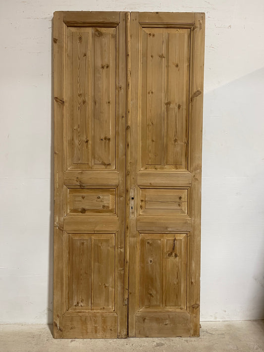 Antique French panel Doors (96.75x44.25) J606