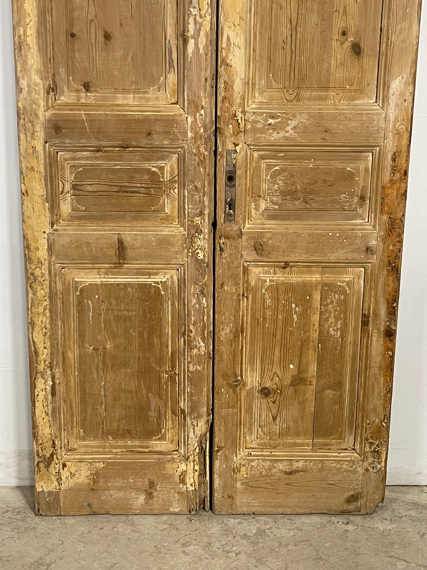 Antique French panel Doors (98x43) M145