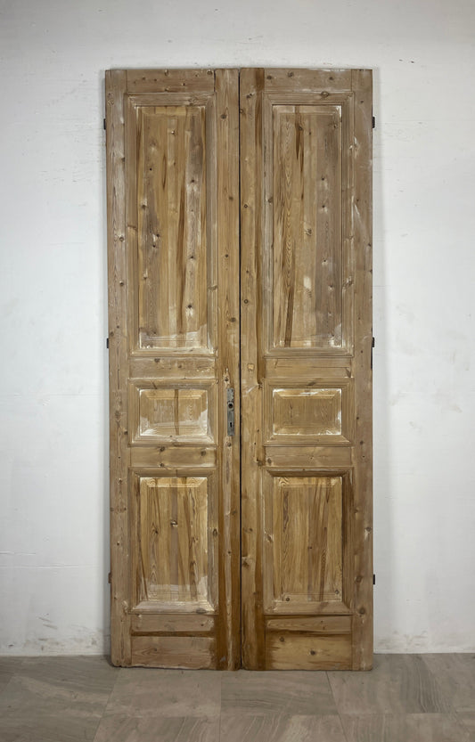 Antique French panel Doors (104 x 46.5) N123