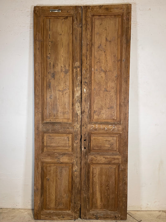 Antique French panel Doors (96x42.5) K716