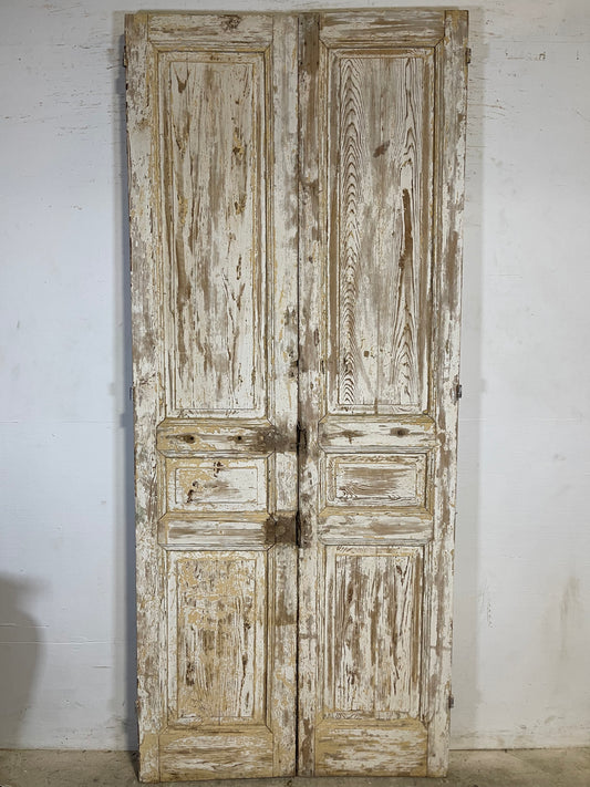 Antique French panel Doors (98.5x41.75) K621