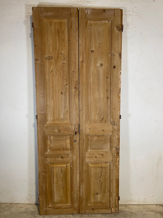 Antique French panel Doors (90.5x36.5) K725